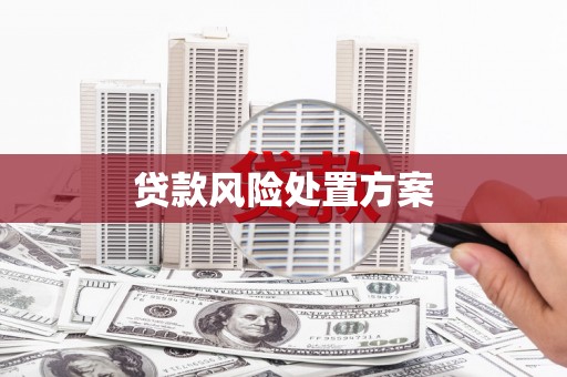 乌兰察布贷款风险处置方案