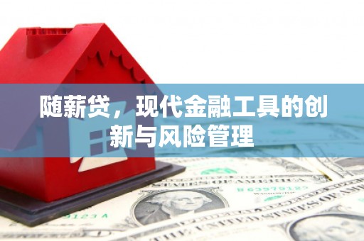乌兰察布随薪贷，现代金融工具的创新与风险管理