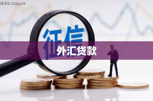 乌兰察布外汇贷款