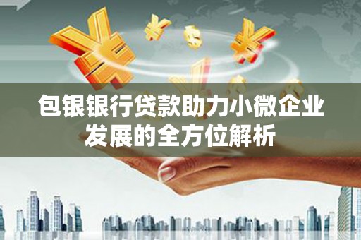 乌兰察布包银银行贷款助力小微企业发展的全方位解析
