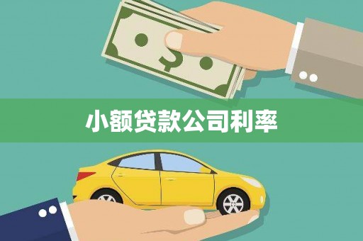 乌兰察布小额贷款公司利率