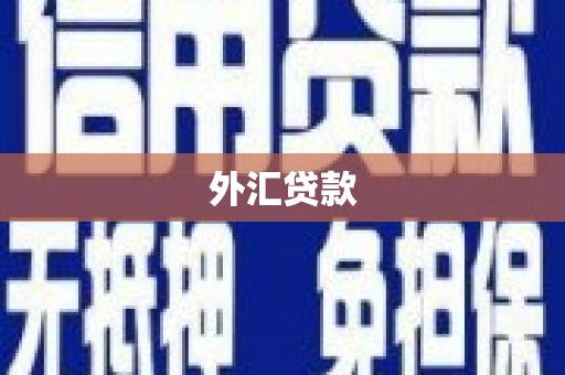 乌兰察布外汇贷款