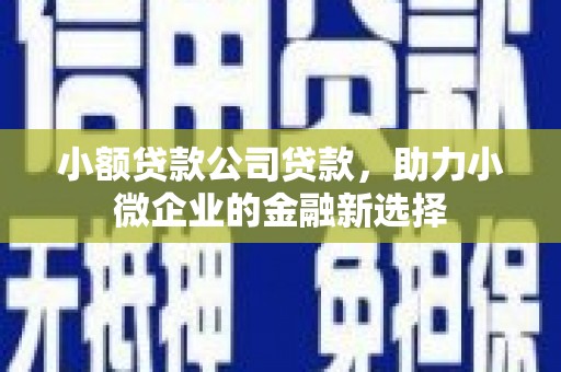 乌兰察布小额贷款公司贷款，助力小微企业的金融新选择