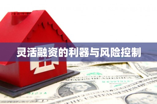 乌兰察布灵活融资的利器与风险控制