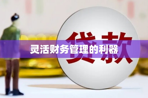 乌兰察布灵活财务管理的利器