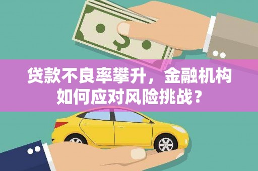 乌兰察布贷款不良率攀升，金融机构如何应对风险挑战？