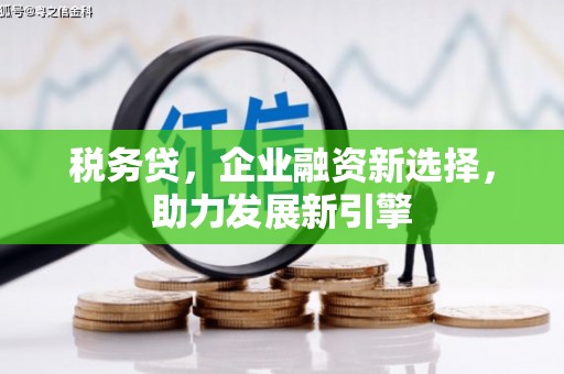 乌兰察布税务贷，企业融资新选择，助力发展新引擎