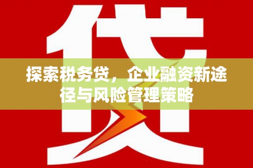 乌兰察布探索税务贷，企业融资新途径与风险管理策略