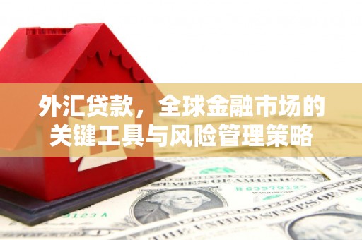 乌兰察布外汇贷款，全球金融市场的关键工具与风险管理策略