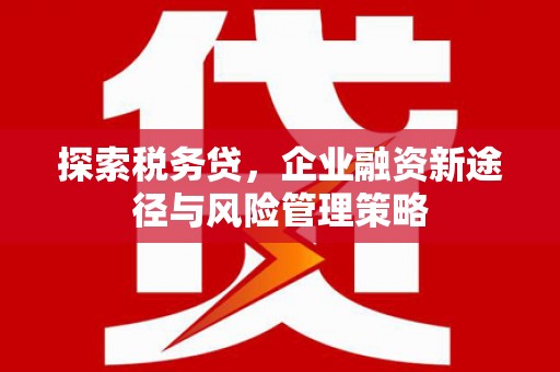 乌兰察布探索税务贷，企业融资新途径与风险管理策略