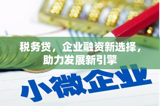 乌兰察布税务贷，企业融资新选择，助力发展新引擎