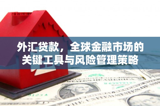 乌兰察布外汇贷款，全球金融市场的关键工具与风险管理策略