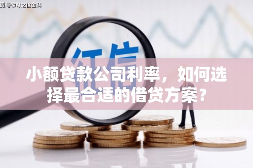 乌兰察布小额贷款公司利率，如何选择最合适的借贷方案？