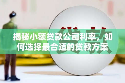乌兰察布揭秘小额贷款公司利率，如何选择最合适的贷款方案