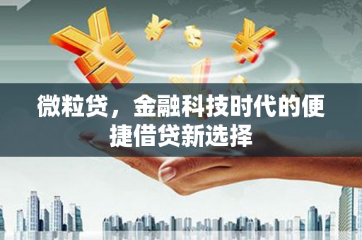 乌兰察布微粒贷，金融科技时代的便捷借贷新选择
