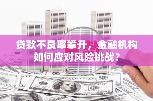 乌兰察布贷款不良率攀升，金融机构如何应对风险挑战？