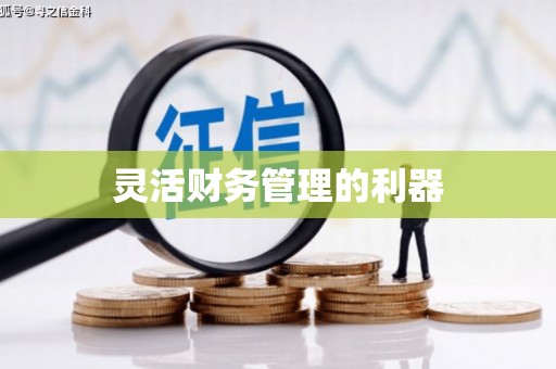 乌兰察布灵活财务管理的利器