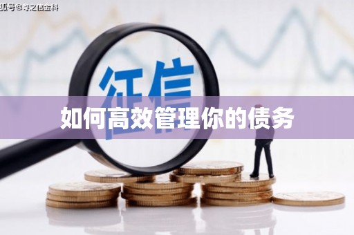 乌兰察布如何高效管理你的债务